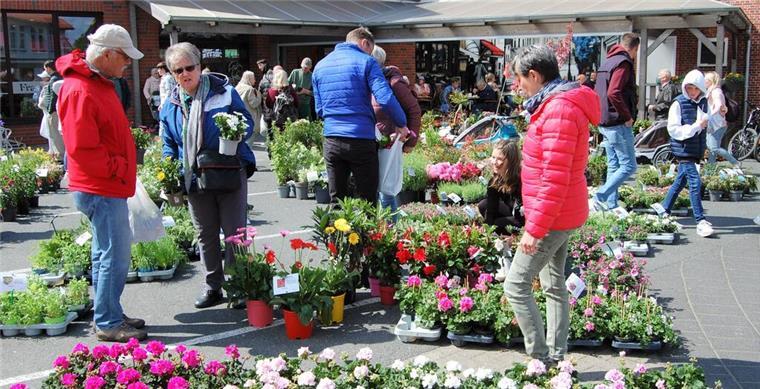 Staudenmarkt in Hagen