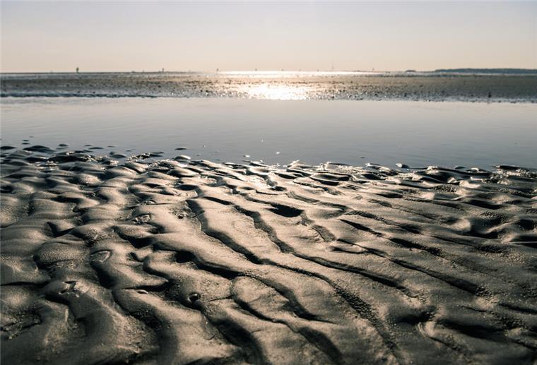 Rätsel um Leiche auf Sandbank - Ist es eine der vermissten Frauen? Wattenmeer