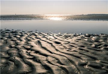 Wattenmeer