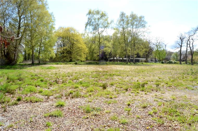Neue Baugrundstücke in Spaden geplant Auf diesem Grundstück an der Robert-Koch-Straße in Spaden haben einmal die Gebäude der Elbe-Weser-Werkstätten gestanden. Nun sollen dort im vorderen Bereich Baugrundstücke entstehen.
