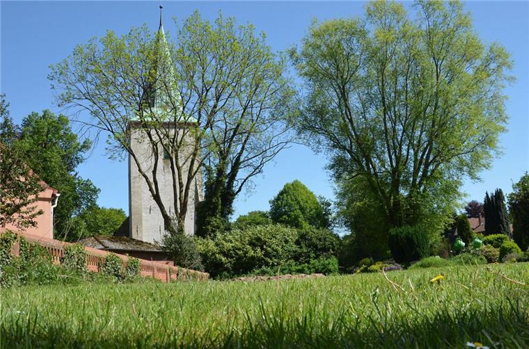 Streit um Gemeindehaus: In Wilstedt soll auf dem Friedhof gebaut werden Auf dieser Fläche, die zum Friedhofsgelände von Wilstedt gehört, soll das neue Gemeindehaus der Kirche entstehen.
