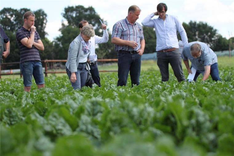 Klimaschonend düngen: Feldversuch in Wilstedt Auf einem Acker in Wilstedt findet ein Feldversuch statt. Erprobt werden dort klimaschonende Düngesysteme.