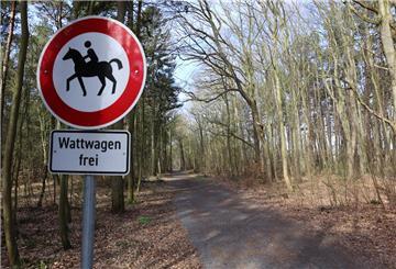 Weg durch den Wald mit Schild "Wattwagen frei"