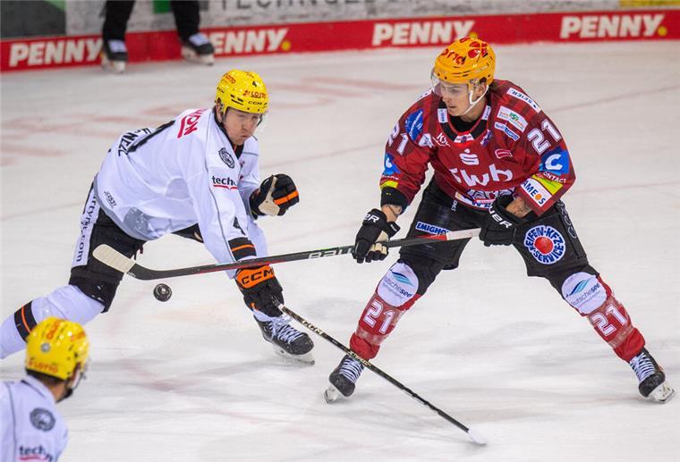 Türchen 26: 2 Karten für die Fischtown Pinguins Fischtown Pinguins