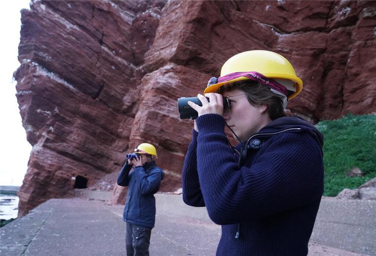 Auf Helgoland können Besucher im Juni ein einzigartiges Spektakel erleben reiwillige Helfer des Vereins Jordsand auf Helgoland, beobachten die Trottellummenküken am Lummenfelsen.
