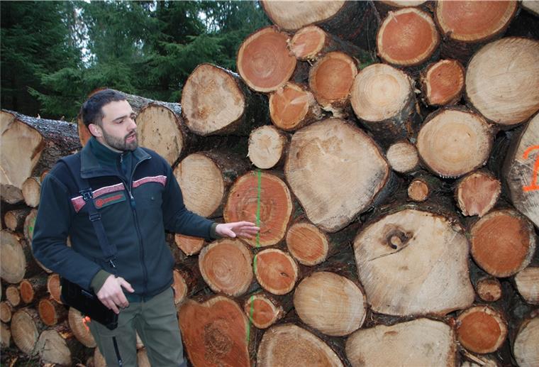 Revier Holzurburg: Förster Loewer hat das Ganze im Blick Auf Länge geschnitten und sauber aufgeschichtet. Revierförster Tobias Loewer weiß, dass es im Wald nicht nur um Naturschutz und Erholung geht, sondern auch um Wirtschaftlichkeit. Jede Ernte soll auch Geld bringen.