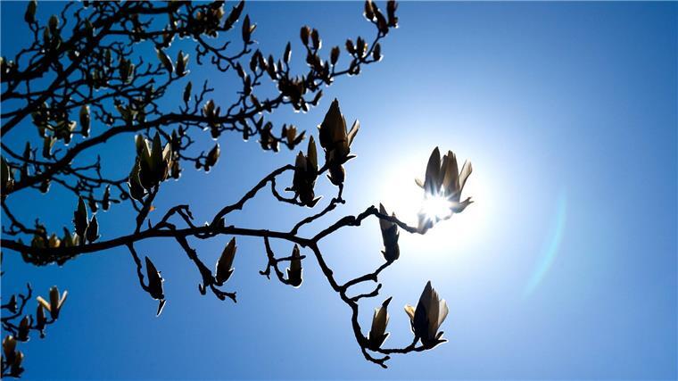 Auf sonnige Tage im Norden Deutschlands folgen Regenschauer. (Archivfoto)