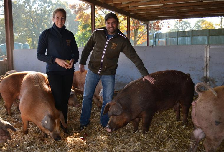 Qualitätsfleisch aus Albstedt: Wo man Steaks online ordert Auf Stroh und mit viel Platz im offenen Stall - so halten Philipp und Tessa Lange aus Albstedt ihre Schweine. Foto Hansen