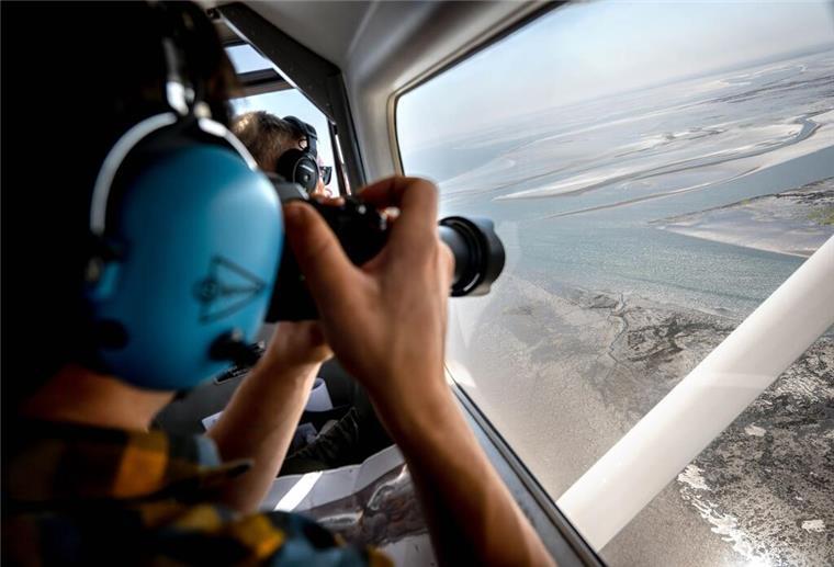 Erste Flüge für Seehund-Zählungen im Wattenmeer starten Aus der Luft zählen und fotografieren Experten Alt- und Jungtiere, die sich bei Ebbe ausruhten.