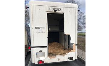 Aus diesem Anhänger ist ein Pferd auf die A1 gesprungen.
