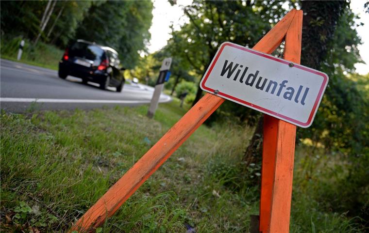 Auf der Kreisstraße 68 in Padingbütel ist ein Motorradfahrer mit einem Reh zusammengestoßen.