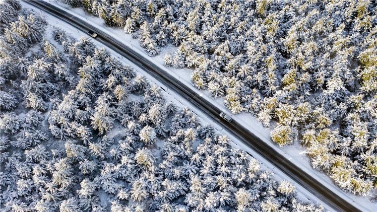 Frost und Schnee führen nicht zu Verkehrschaos Autos fahren durch einen verschneiten Wald.
