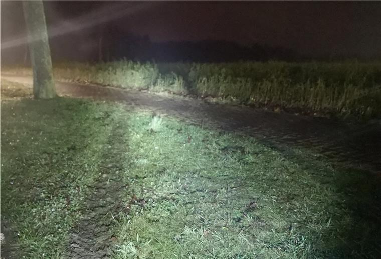 Everinghausen: Fahrer flüchtet durch Rapsfeld Autospuren im Rapsfeld: Ein noch unbekannter Autofahrer flüchtete nach einem Verkehrsunfall am Donnerstag durch ein Rapsfeld.