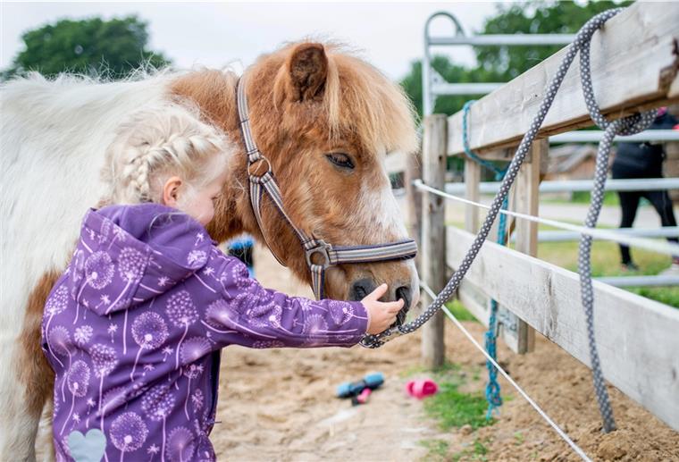 Chance in der Corona-Krise: Urlaub auf dem Bauernhof zieht die Gäste an Ayline streichelt auf einem Hof in Norddeutschland das Shetlandpony "Schulzi".