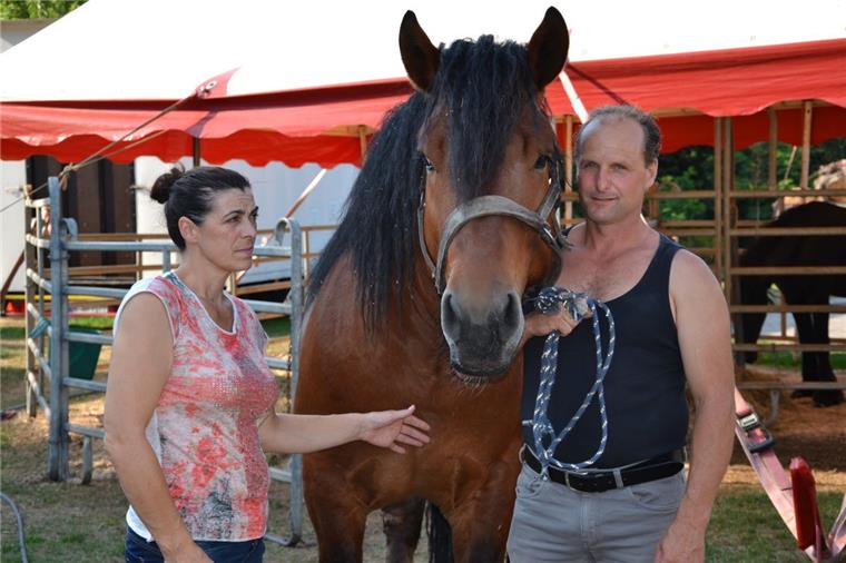 Spenden helfen in Wilstedt gestrandetem Zirkus Minimum Bärbel Carmen Frank und ihren Lebensgefährte Ricardo Köhler blicken wieder optimistisch in die Zukunft. Sie freuen sich über die vielen Spenden von Bürgern.