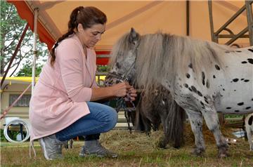 Bärbel Frank mit „Tiger“. Neben dem Pony gibt es im „Cirkus Maximum“ ein weiteres sowie Pferde, Esel, Ziegen und Hunde. Sie zu füttern, fällt dem Zirkus zunehmend schwer. Er steckt in Wilstedt fest.