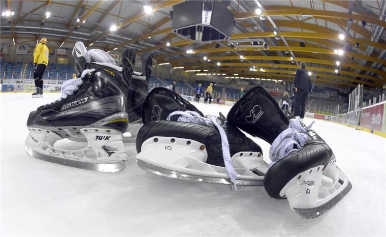 Bald geht es bei den Fischtown Pinguins wieder mit dem Training los.