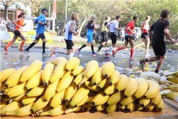 Bananen halten nicht nur Marathonläufer auf Trab, sondern auch das Hafentreiben in der Seestadt.