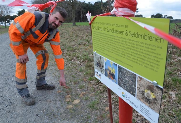 Kührstedt: Bauhof schützt Wildbienen Bauhofmitarbeiter der Stadt Geestland haben in Kührstedt eine Absperrung zum Schutz von Wildbienen installiert.