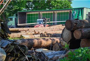 Baustoffe sind jetzt sehr teuer. So auch das Holz der Zimmerei von Claus Hillebrandt in Köhlen, mit dem Mitarbeiter Andreas Cassens arbeitet.