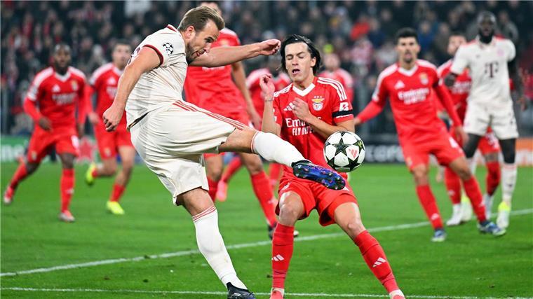 Musiala köpft Bayern zum Arbeitssieg: „Manchmal reicht 1:0“ Bayern-Torjäger Harry Kane beim Schuss.