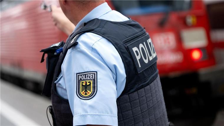 Polizei findet 80.000 Euro teure Geige in Zug Beamte der Bundespolizei fanden in zwei Zügen in Nordrhein-Westfalen eine teure Geige und einen wertvollen Cellobogen. (Archivbild)