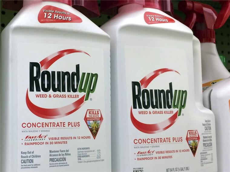 US-Glyphosat-Prozess: Empfindliche Schlappe für Monsanto Behälter mit Roundup, einem Unkrautvernichter von Monsanto, stehen in einem Regal in einem Baumarkt in Los Angeles.