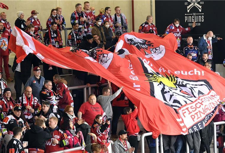 Bei 6:5-Sieg der Fischtown Pinguins gegen die Augsburger Panther waren zum vorerst letzten Mal in der Eisarena zugelassen.