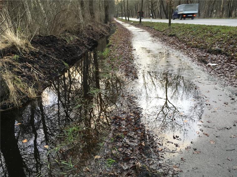 Dieser Radweg im Cuxland soll noch in diesem Jahr saniert werden Bei Dauerregen steht der Radweg zwischen Schiffdorf und Sellstedt seit Jahren immer mal wieder unter Wasser.