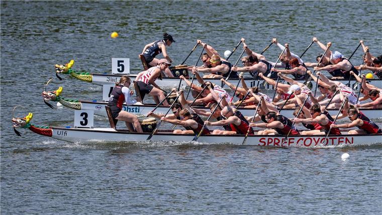 Mit der Trommel Paddler anfeuern Bei den Rennen fahren mehrere Teams gleichzeitig um den Sieg.
