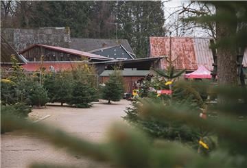 Bei den Tannenbaumverkäufern geht es dieses Jahr ruhiger zu wie hier beim „Hofladen Icken“ der Familie Penner in Dorum. Kein Glühwein- oder Punschausschank, kein Bratwurstverkauf oder Kinderkarussel.