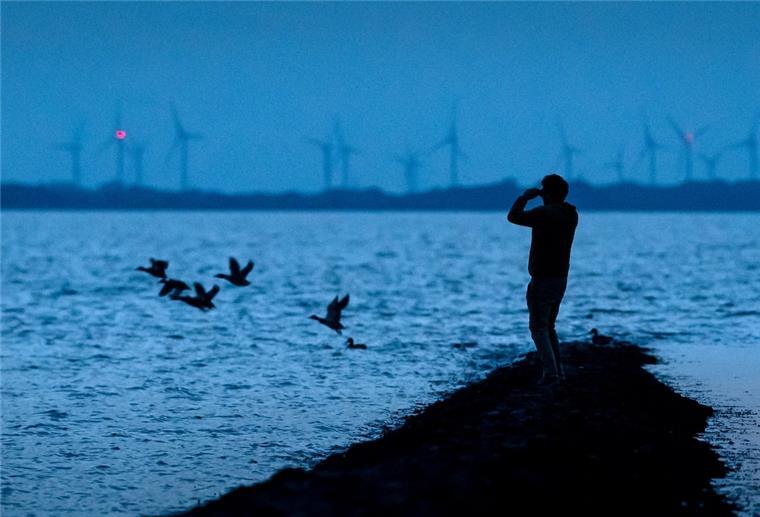 Ein Mann beobachtet Zugvögel, die über das Wattenmeer der Nordseebucht Jadebusen fliegen.
