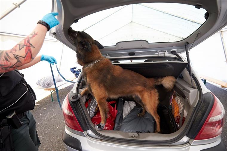 Polizei schnappt Tankbetrüger auf der A1 Bei der Durchsuchung des Fahrzeugs der beiden Schweden war auch ein Drogenspürhund im Einsatz.