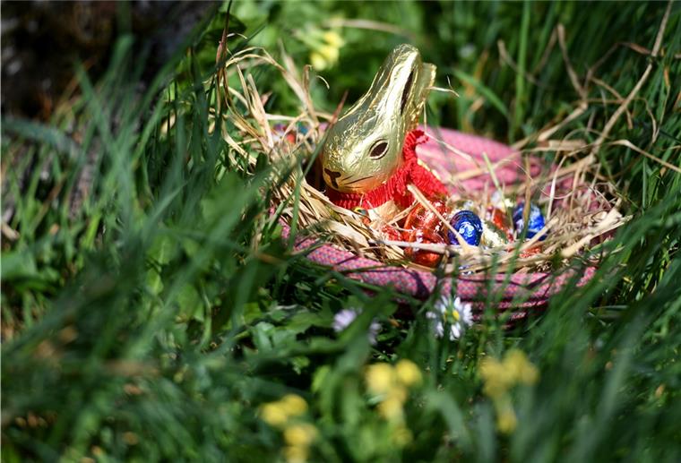 Geestland sucht schönstes Osternest Bei der Gestaltung der Nester sind keine Grenzen gesetzt. Die Stadt Geestland ist gespannt auf die kreativen Ideen der Kinder.