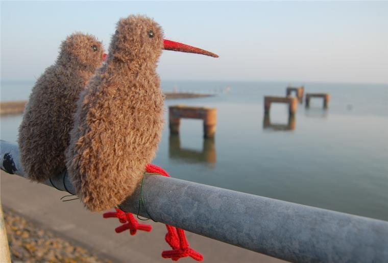 Butjadinger „Gezeiten“ bieten 16 Begegnungen am Meer Bei der „Gezeiten“-Eröffnung ist Theda Garnholz mit ihren Strickvögeln dabei. Sie bilden auch das diesjährige Titelbild der Kunst- und Kulturwochen - passend zum Motto „Begegnungen am Meer“.