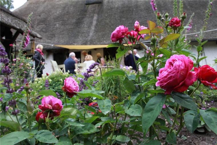 Bei der offenen Gartenpforte können am Wochenende wieder Gartenparadiese in Bremerhaven und im Landkreis bestaunt werden. 