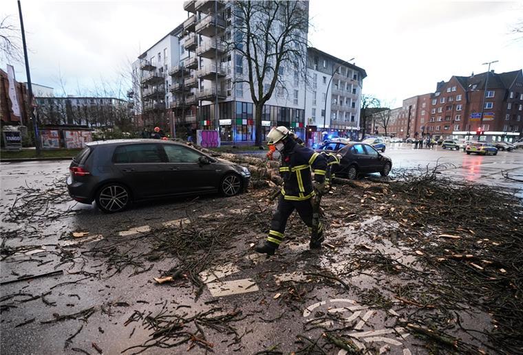 Einsatzkräfte der Feuerwehr zersägen und transportieren einen umgestürzten Baum von der Straße Bahrenfelder Steindamm. 