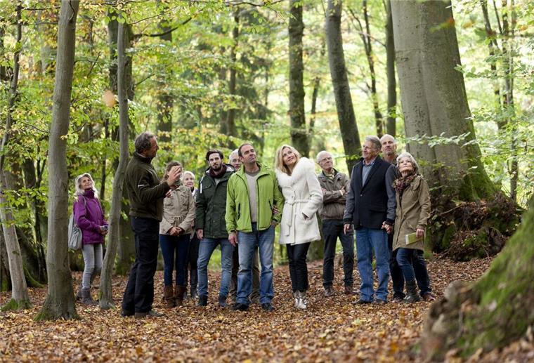 Cuxland: Kostenlose Waldführung durch den FriedWald Bei einer kostenlosen Führung durch den FriedWald können Interessierte Fragen zu Kosten und Beisetzungsarten stellen.