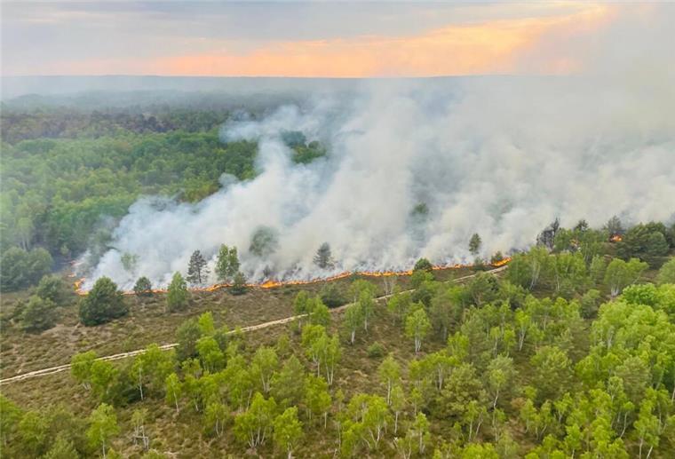 Waldbrandgefahr! Klimahaus-Expertin erläutert die Lage Bei Jüterborg in Brandenburg kam es in diesem Monat bereits zu einem Waldbrand.