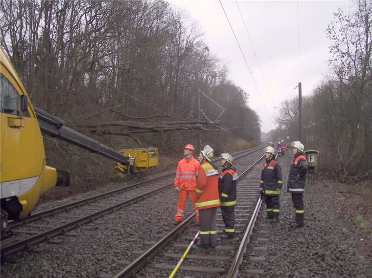 Bei Nienburg sind Bäume in die Oberleitung gestürzt (Symbolfoto).