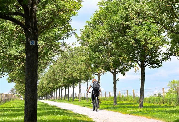 Bei Sonnenschein und sommerlichen Temperaturen kann die Tour auf dem Rad auch ein Genuss sein - und trägt zu einer gesunden Lebensweise bei.