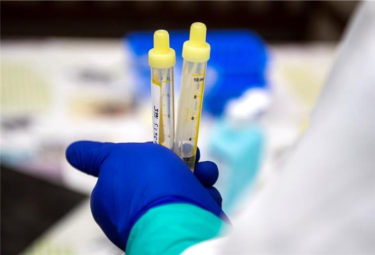 Sechs neue Corona-Fälle im Kreis Rotenburg Bei Tests sind binnen 24 Stunden sechs Personen als Corona positiv im Landkreis Rotenburg identifiziert worden.