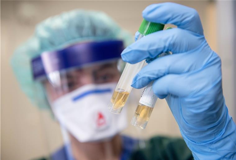 Erste Corona-Fälle im Landkreis Rotenburg Bei zwei Personen aus dem Landkreis Rotenburg ist der Corona-Virus festgestellt worden. Die Patienten hatten Urlaub in Südtirol gemacht.