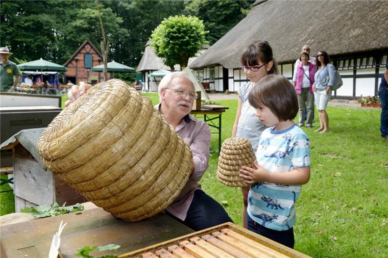Welche Blumen gut für Bienen sind Beim Fest zum 100-jährigen Bestehen des Imkervereins Wesermünde erfuhren die Gäste zum Beispiel, wie ein Bienenkorb aufgebaut ist.