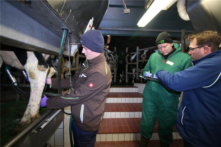 Landwirte-Nachwuchs misst sich beim Melkwettbewerb in Butjadingen Beim Melkwettbewerb zeigten die Teilnehmer ihr Geschick beim Umgang mit Tieren und Technik. Die Prüfer vergaben für die zahlreichen Handgriffe Punkte.