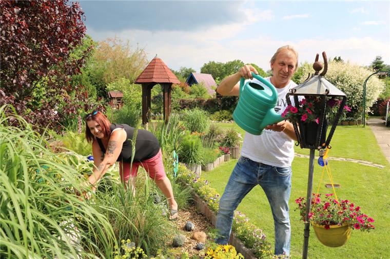 Bremerhaven und umzu: Hier gibt's alle Infos zur Offenen Gartenpforte Beim Tag der Offenen Gartenpforte gibt es in Bremerhaven und im Cuxland viel zu sehen.