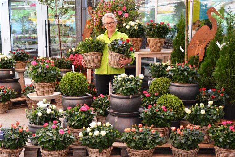 Verkaufsoffener Sonntag in Wulsdorf mit vielen Angeboten Beim verkaufsoffenen Sonntag am 28. April dreht sich beim Gartencenter Wassenaar in Bremerhaven-Wulsdorf fast alles um die Pflanzzeit, die im Frühling begonnen hat.