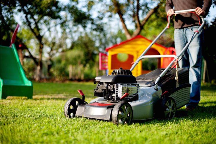Kostenlose Tipps für Hobbygärtner in Bremerhaven: So wird dein Rasen garantiert schöner Beim Wassenaar Gartencenter in Bremerhaven bekommt ihr am Sonnabend und Sonntag kostenlose Beratung vom Fachmann für euren Rasen.