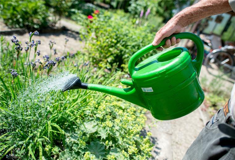 Gießtipp für heiße Tage: Pflanzen schluckweise Wasser geben Besonders an heißen Tagen kann die trockene Erde das Wasser nur nach und nach aufnehmen.