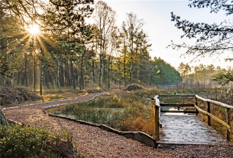 Nordpfad will schönster Wanderweg werden Bietet zu jeder Jahreszeit stimmungsvolle Bilder: der Nordpfad "Dör’t Moor" bei Rotenburg.